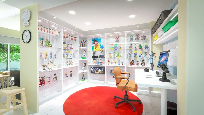 Toy and hobby room